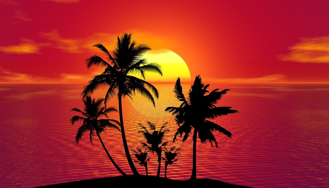 tropical sunset